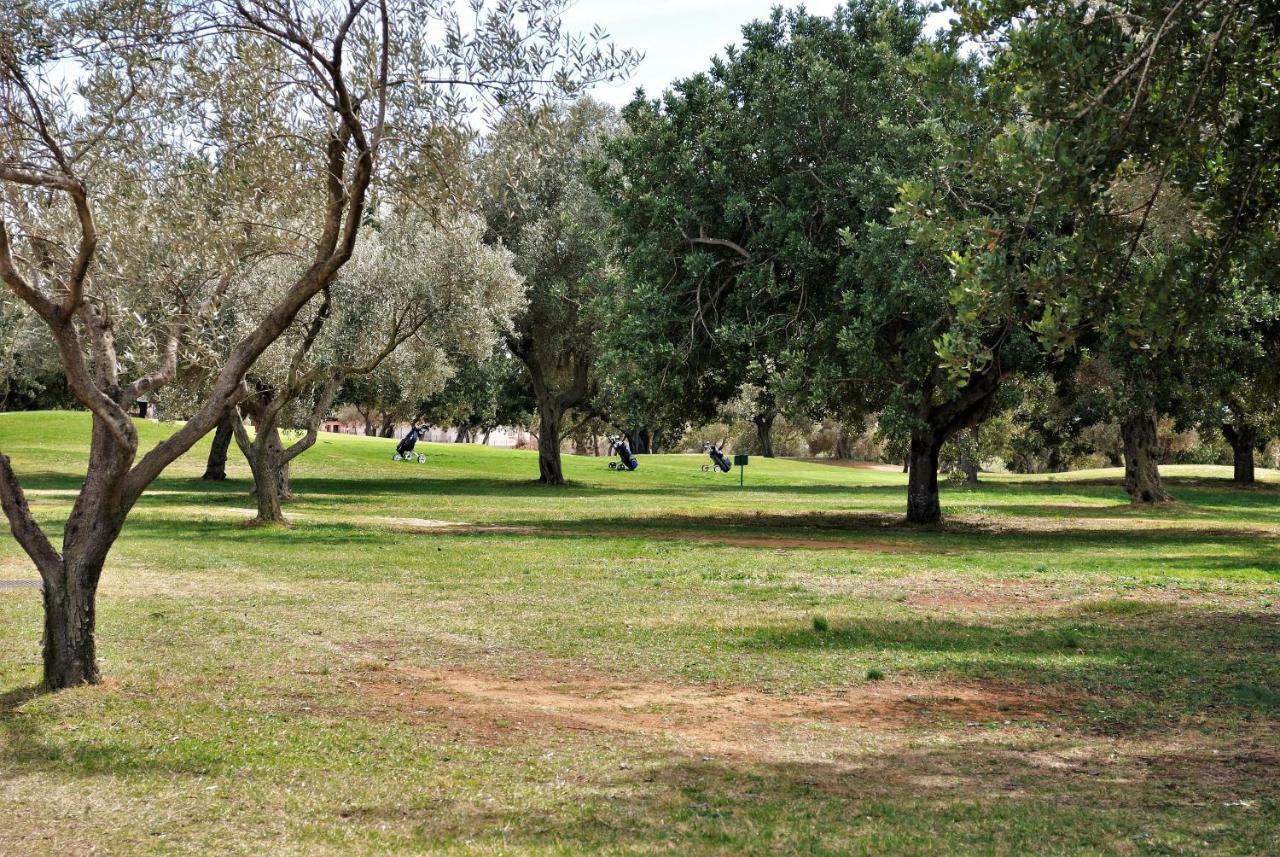 Chalet Adosado De Lujo Para 6 Personas En Golf Panoramica - Internet Fibra Gratis San Jorge  Exteriér fotografie